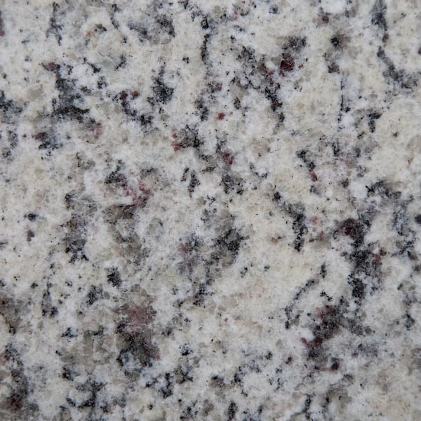 Granite Countertop Sample in White Napoli