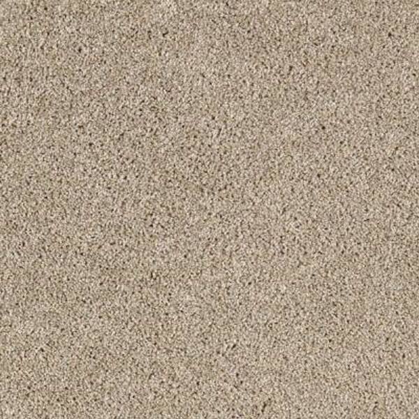 Lifeproof 8 in. x 8 in. Texture Carpet Sample - Gorrono Ranch I -Color Peaceful
