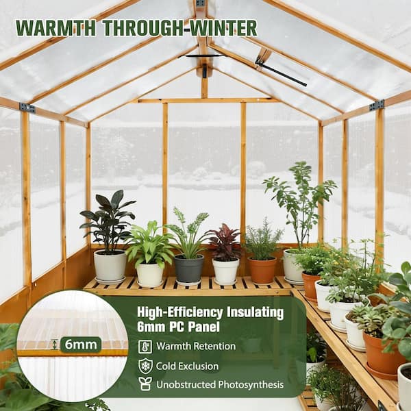 COOS BAY 6 x 8 ft Wooden Greenhouse with 2-Layer PC Panel