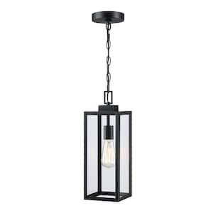 Alfa 1-Light Matte Black Outdoor Hanging Lantern Pendant Light with Clear Glass
