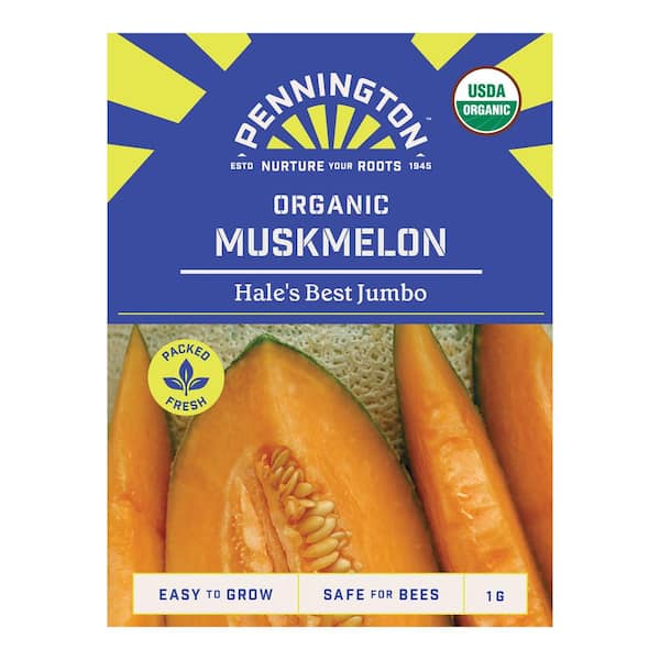 Pennington Organic Muskmelon Hales Best Jumbo Fruit Seed