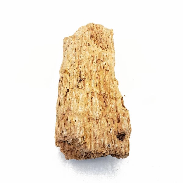 Lifegard Petrified Burmese Tree Decorative Stone Large Size 10 in. to 15 in. 44 lbs. Box approx 2 cu. ft.