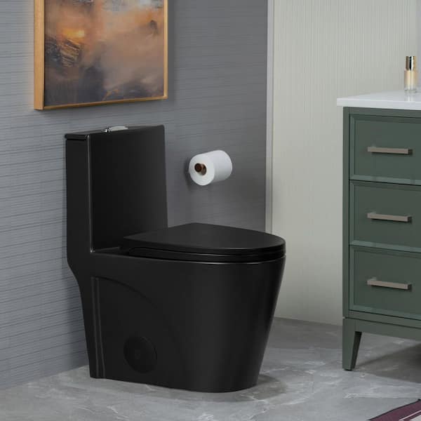 1-Piece 1.1/1.6 GPF Dual Flush ADA Elongated Toilet in Black with Soft Closing Lid and 1000g MaP Score Seat Included