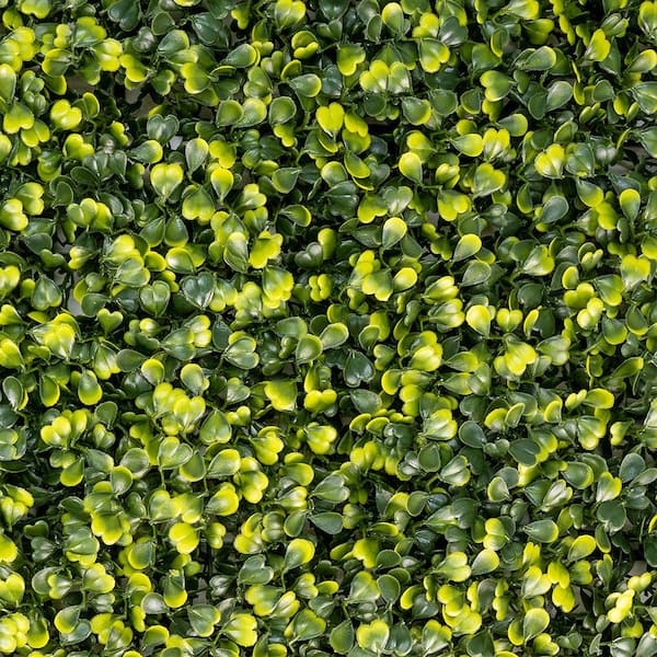 GREENLINE ARTIFICIAL GRASS 20 in. x 20 in. Boxwood Bush Premium Artificial Hedge Greenery Panels (6-Piece)
