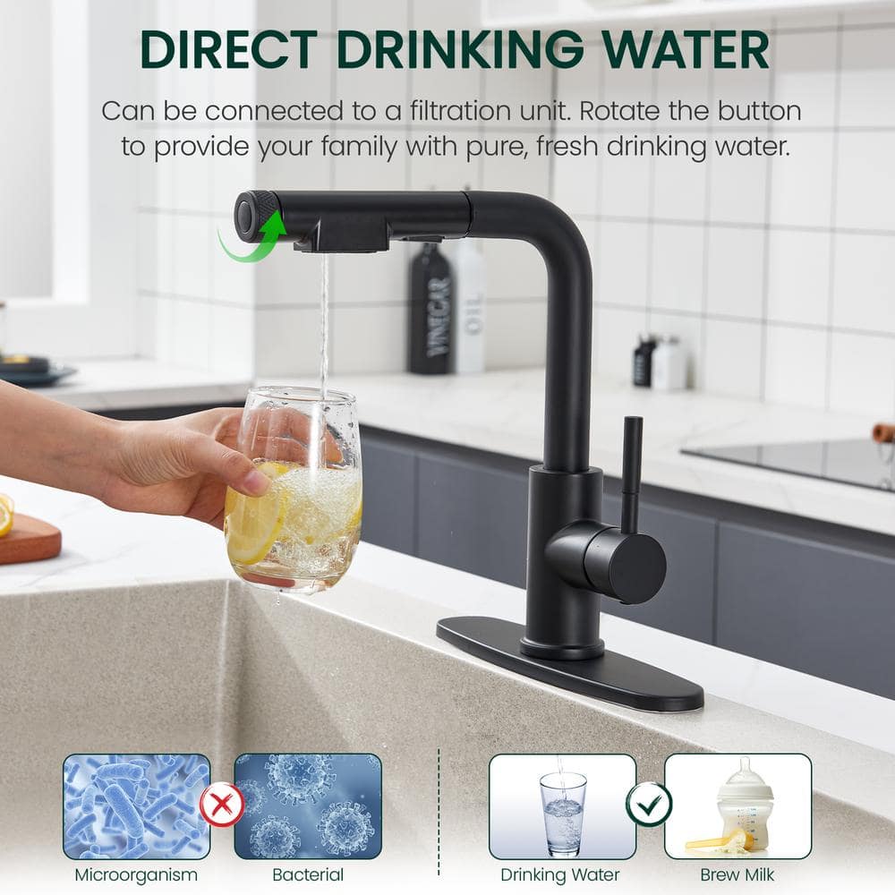 Matte Black Stainless Steel Pull-Out Spray Kitchen Faucet
