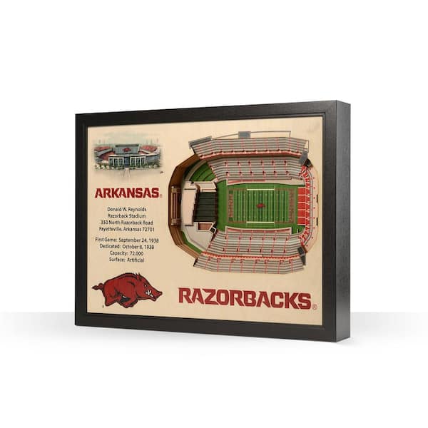 Arizona Cardinals 25 Layer Stadium View 3D Wall Art