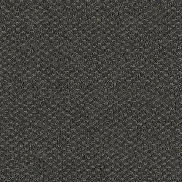 Lifeproof 8 in. x 8 in. Pattern Carpet Sample - Katama II -Color Silhouette