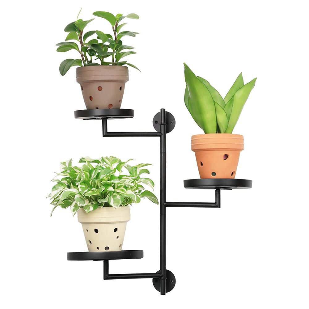 Oyezvary 3-Tier Black Wrought Metal Rotating Window Plant Stand with ...