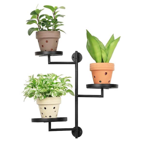 3-Tier Black Wrought Metal Rotating Window Plant Stand with Circular Trays for Indoor Plants (3-Pack)