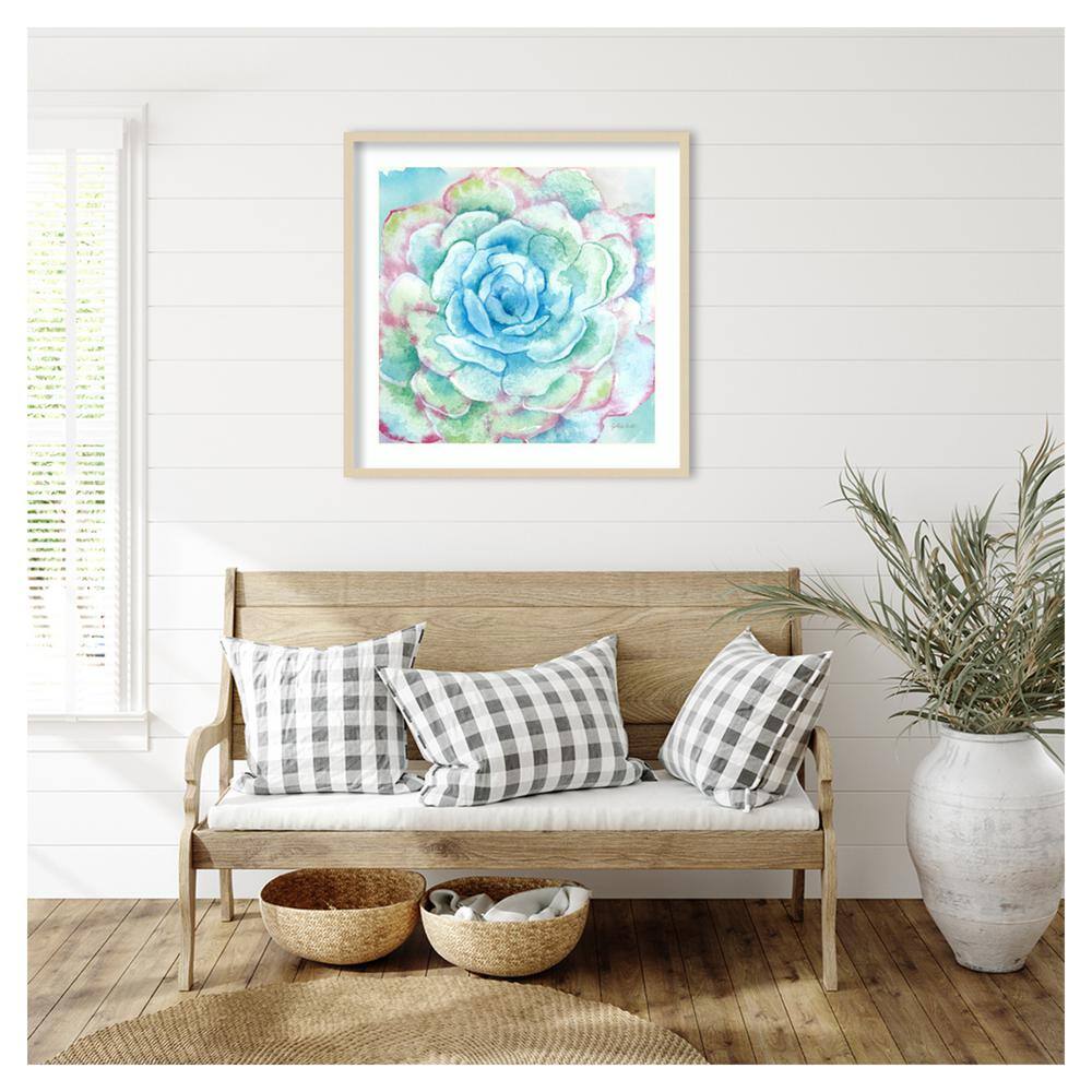 Sweet Succulents I Svelte Natural Framed Wall Art Print