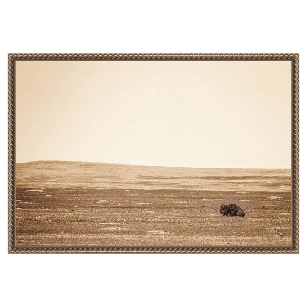 Sepia Bison Landscape Framed Canvas Wall Art 23 x 16