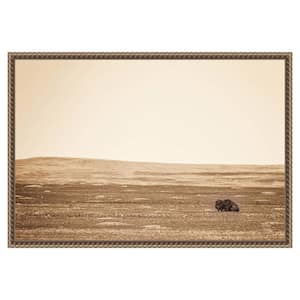 "Badlands Bison Sepia" by Nathan Larson 1-Piece Floater Frame Giclee Nature Canvas Art Print 16 in. x 23 in.