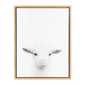 24 in. x 18 in. "Goat" by Tai Prints Framed Canvas Wall Art