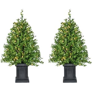 2 ft. Prelit Boxwood Porch Artificial Christmas Tree with Black Pot and Warm White Lights, (Set of 2)