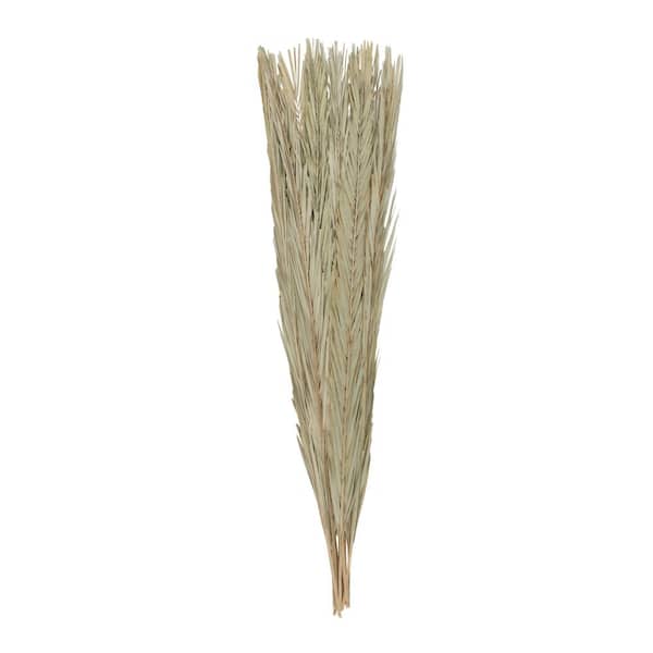 Litton Lane 61 in. Tall Natural Foliage with Grass (One Bundle)
