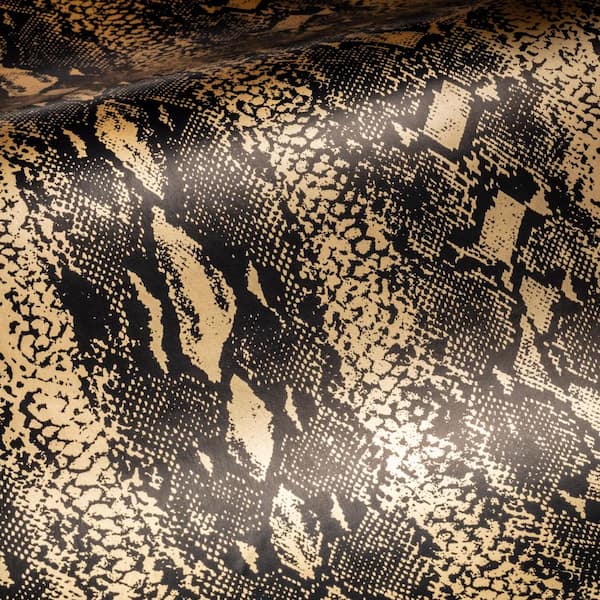 HD black snake skin wallpapers  Peakpx