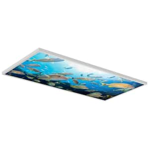 Ocean 004 2 ft. x 4 ft. Flexible Decorative Light Diffuser Panels Ocean for Classrooms and Offices