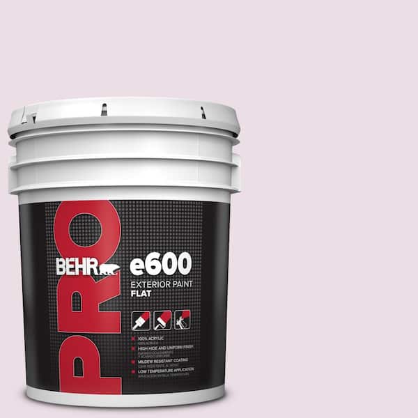 BEHR PRO 5 gal. #680C-2 Wing Flutter Flat Exterior Paint