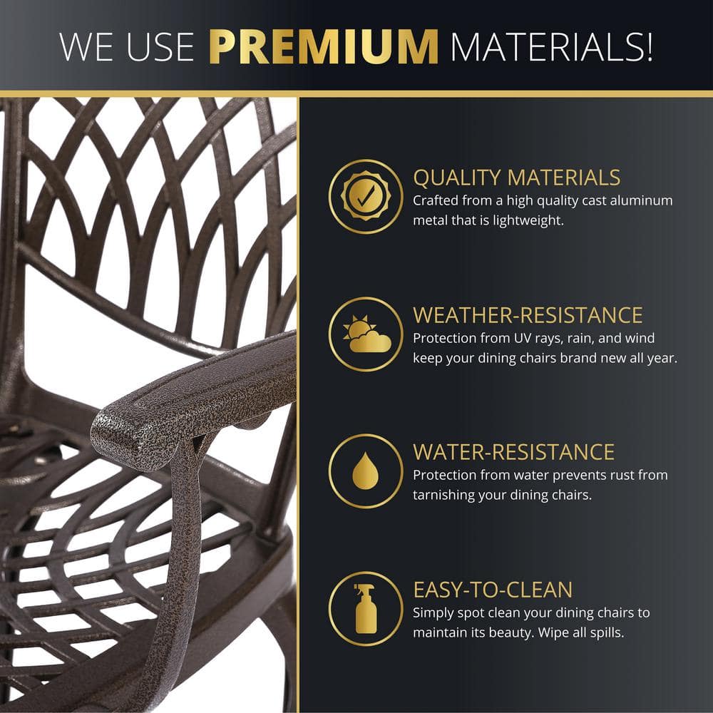 Bronze Cast Aluminum Outdoor Dining Chairs with Cushions, Set of 2