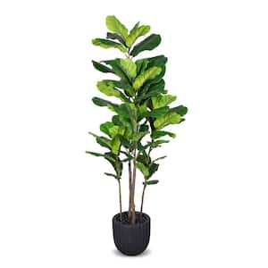 Reviews for LCG SALES INC Artificial 5.6-foot Fiddle Leaf Fig Tree in ...