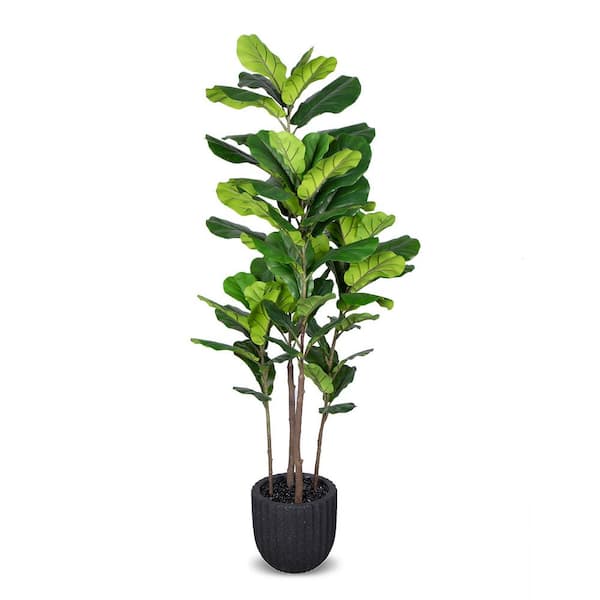 Unbranded Botanical 6 ft. Artificial Fiddle Leaf in Pot