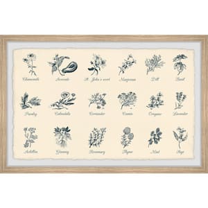 "Spices and Herbs" by Marmont Hill Framed Nature Art Print 20 in. x 30 in.