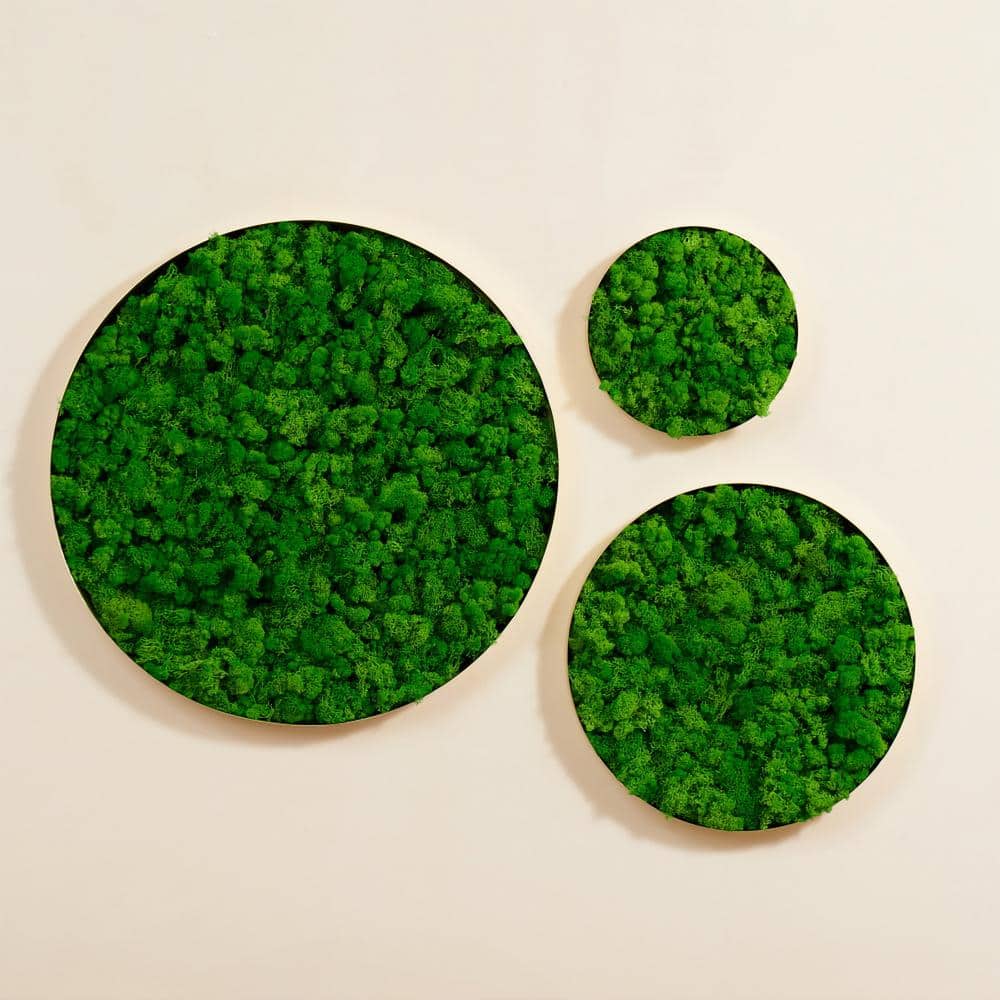 1 Pack Round Framed Moss Metal Gold and Green Wall Decor Wall Greenery Art 