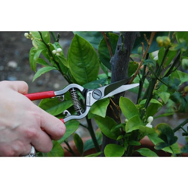 7 Pieces Gardening Tools Seed Handheld , Trowel Pruning, Shear,Gloves FS