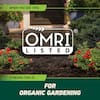 ortho-weed-grass-killer-461326405-1d.4