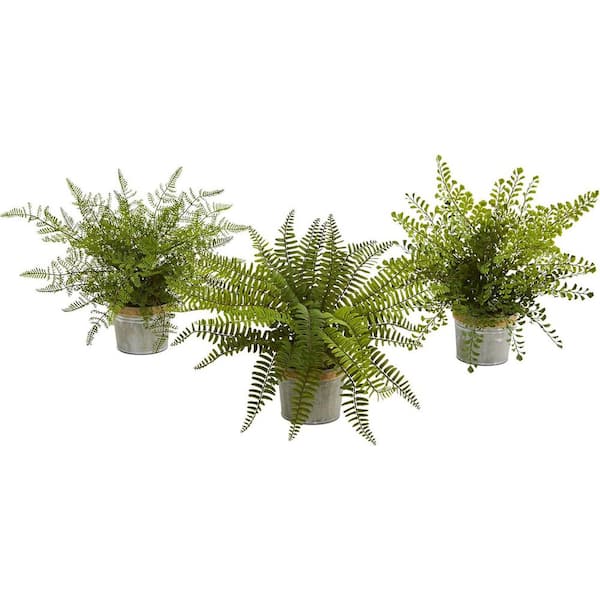 14 in. Green Fern Artificial Plant 3-Pack