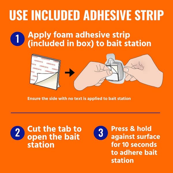 Indoor Multi-Surface Liquid Ant Killer Baits (4-Count)