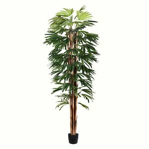 7 ft. Green Artificial Rhaphis Other Everyday Tree in Pot