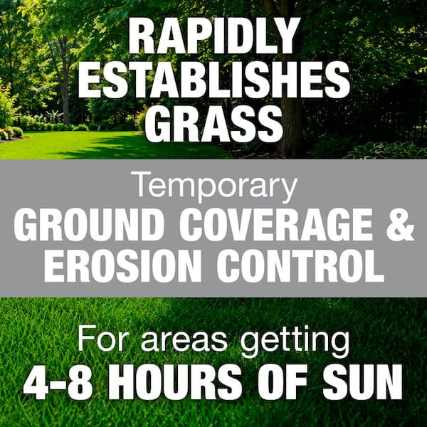 3 lbs. Fast Grass Seed Mix