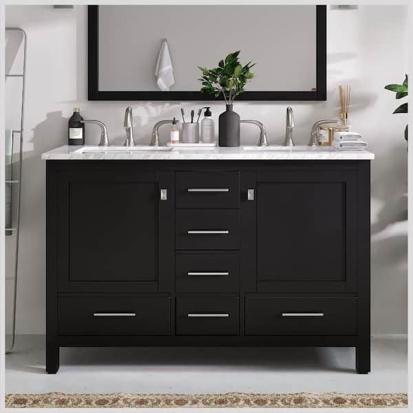 Eviva Aberdeen 48 in. W x 22 in. D x 34 in. H Double Bath Vanity in