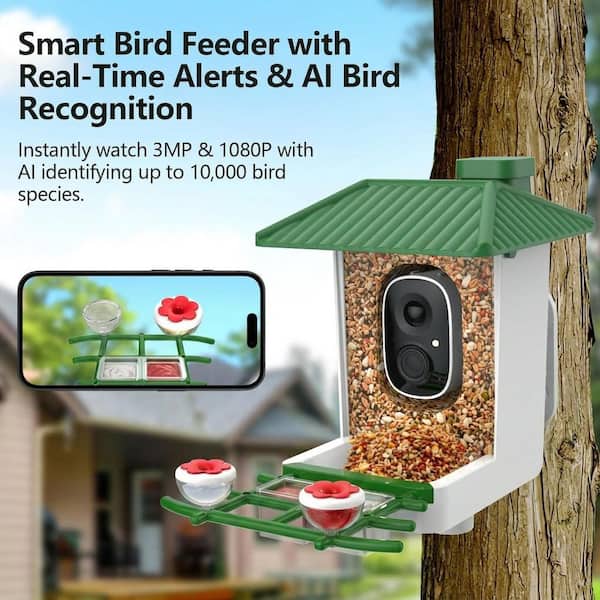 SenQWFa Green Plastic Wall Mount Smart Bird Seed Feeder Camera