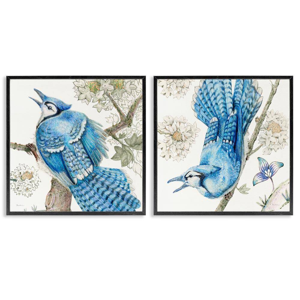 Blue Jays with White Blossoms by Evelia Designs 2-Pieces Black Framed Animal Giclee Art Print 12 in. x 12 in. price history on PriceWatchPro