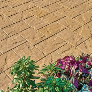 Taverna 11.81 in. L x 7.87 in. W x 1.97 in. H Rectangle San Marcos Blend Concrete Paver (192-Piece/124 sq. ft./Pallet)
