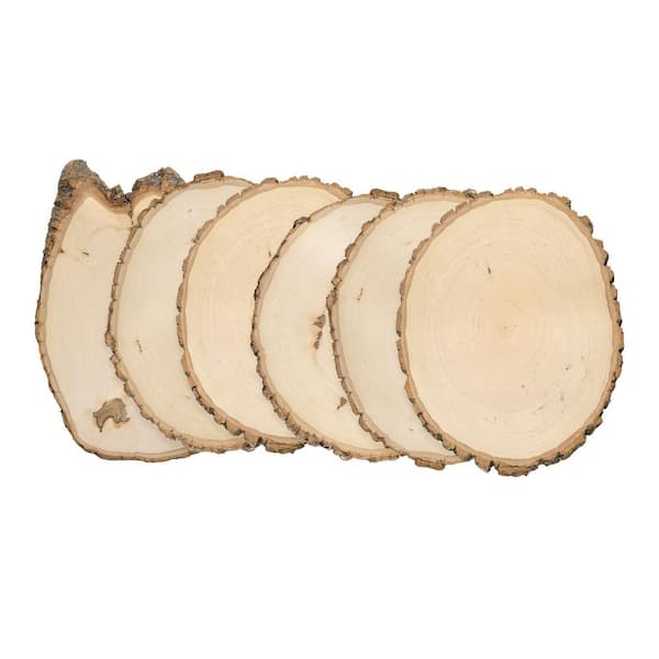 Walnut Hollow 1 in. x 11 in. x 11 in. Rustic Basswood Large Round Live Edge Project Panel (6-pack)