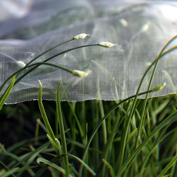 Oyezvary Outdoor Insect Protection Mesh Garden Netting for Bug