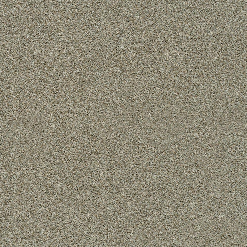 8 in. x 8 in. Texture Carpet Sample-Dewdrop I-Color Whish price history on PriceWatchPro