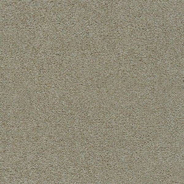 8 in. x 8 in. Texture Carpet Sample-Dewdrop III-Color Whish