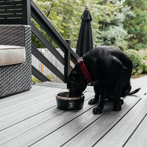 Supreme 'Dog Bowl'ドッグボウル セラミック 陶器 黒 ブラック