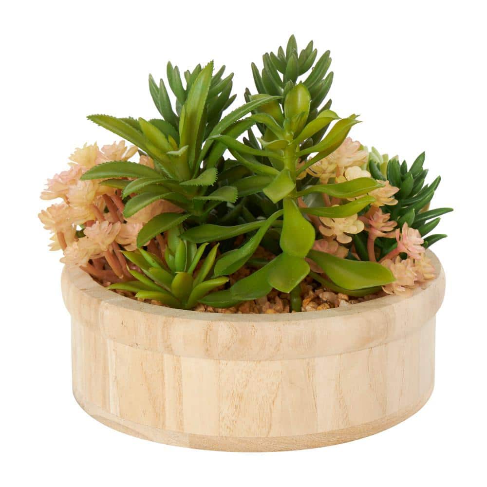 7 in. H Artificial Succulent Plant with Brown Wooden Pot price history on PriceWatchPro