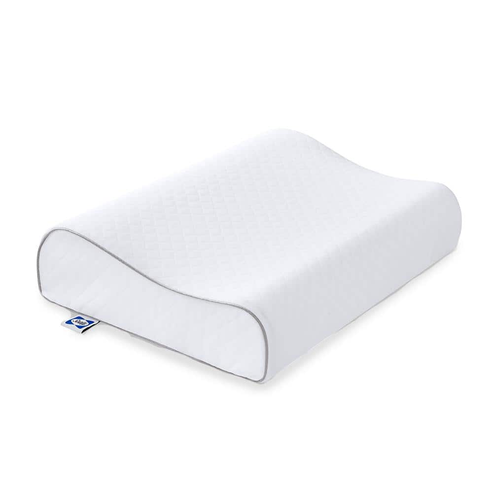  XOLLOZ, Curved Mattress (28 in) + Pillow, Curved Memory Foam  Lash Bed Pillow with Neck and Back Support