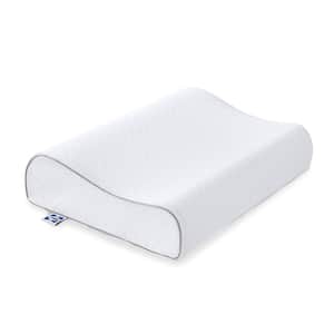 Essentials 20 in. x 15 in. Contour Curve Memory Foam Standard Pillow