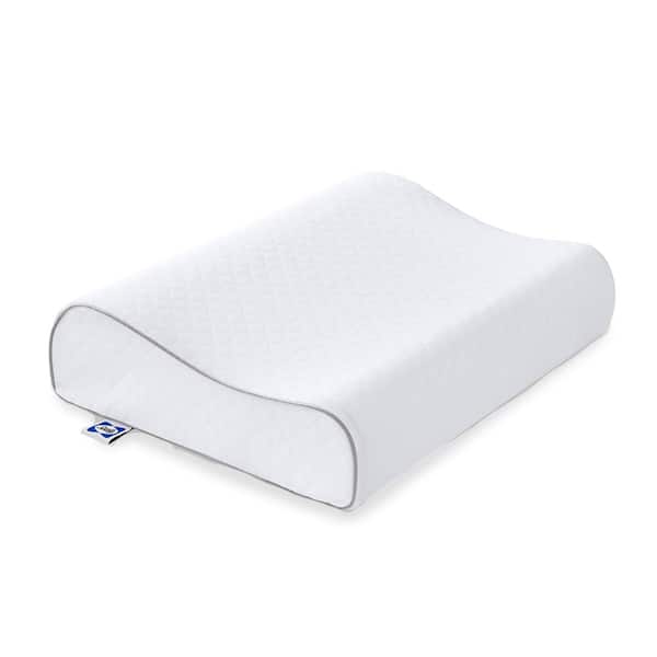 Sealy Essentials 20 in. x 15 in. Contour Curve Memory Foam Standard Pillow