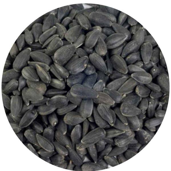 home depot black sunflower seeds