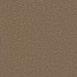 Added Value - Splurge - Beige 24 oz. SD Polyester Texture Installed Carpet