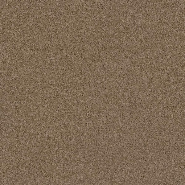 Added Value - Splurge - Beige 24 oz. SD Polyester Texture Carpet - Installation Required