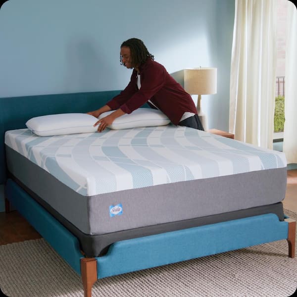 Sealy Dreamlife Queen Soft Memory Foam 14 in. Bed in a Box Mattress F03 00238 QN0 The Home Depot